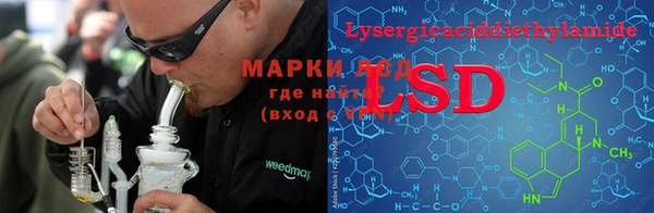 гашик Белокуриха