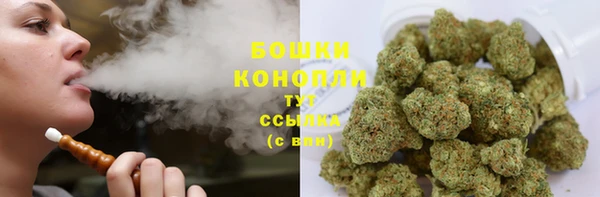 гашик Белокуриха