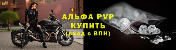 молекула духа Богданович