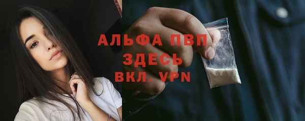 молекула духа Богданович