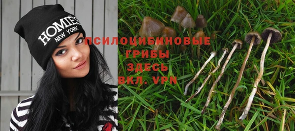 гашик Белокуриха
