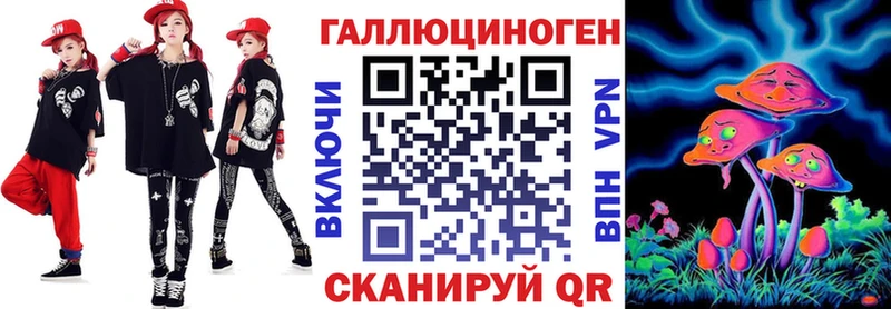 где найти   Городец  Псилоцибиновые грибы Psilocybe 