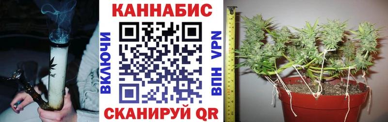 продажа наркотиков  mega   Марихуана планчик  Городец 